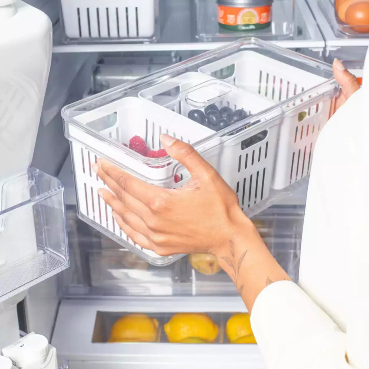 Organizador De Geladeira com 3 Cestos e Tampa Acrílico 5L Clear Fresh leve compre