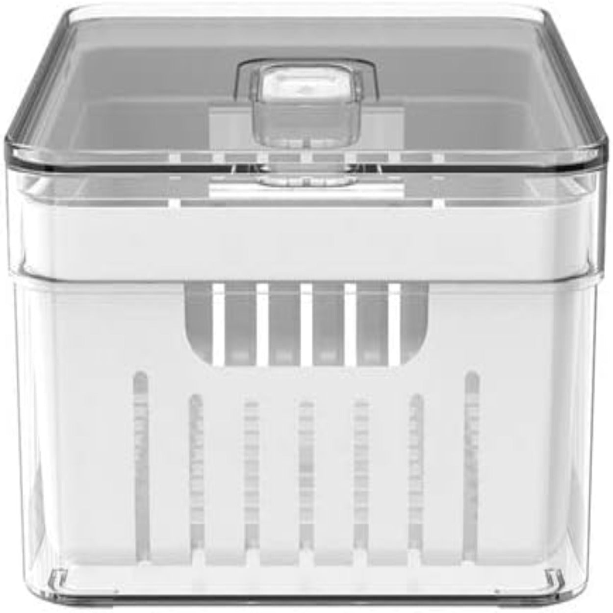 Mantenha seus alimentos frescos e bem organizados com o Organizador de Geladeira com Escorredor Interno, 2,2 L. Seu design funcional e prático permite armazenar legumes, saladas e outros alimentos perecíveis com facilidade, mantendo-os frescos por mais tempo. Fabricado em plástico resistente, é durável e fácil de limpar. Adquira o seu hoje e simplifique a organização da sua geladeira!