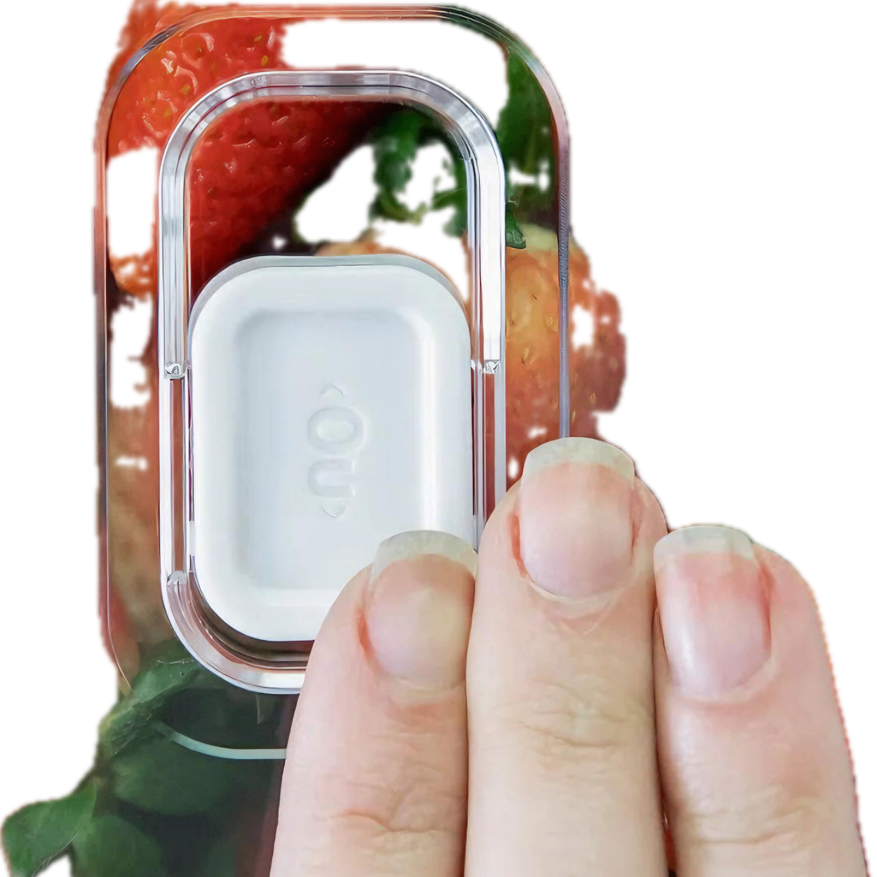 Kit 4 Organizadores De Geladeira Clear Fresh: Porta Ovos 7un, Porta Frios e 2 Potes