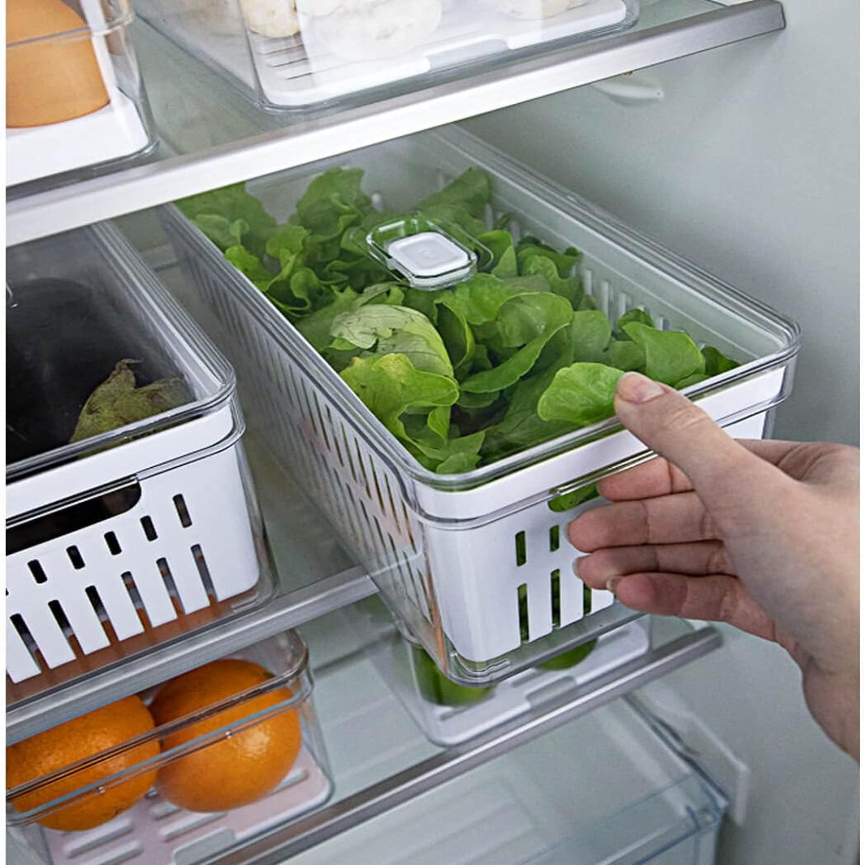 Organizador De Geladeira com Tampa e Cesto Acrílico 5L Clear Fresh