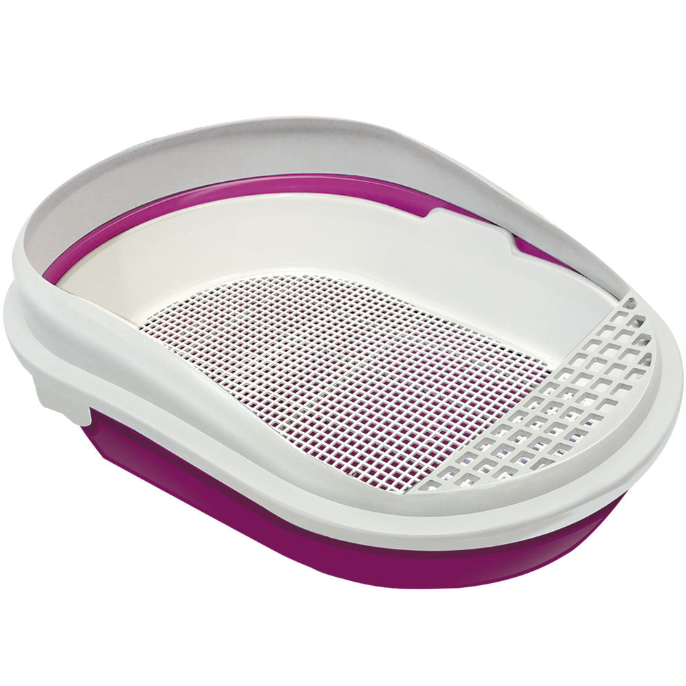 2a385c04b07f8361c84cfef340584410