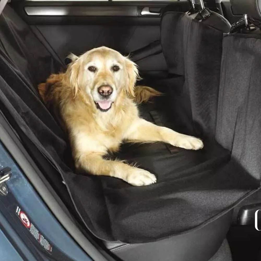 b684761e91767e8adb0152f820401011